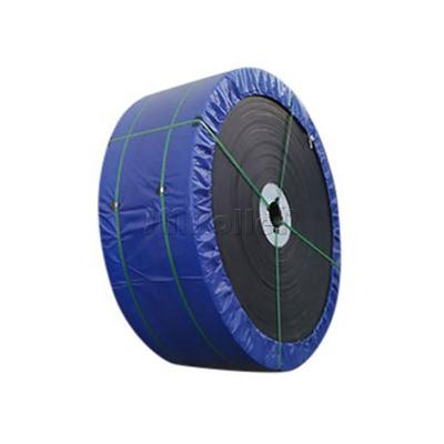 China 500 Pounds Load Nylon Conveyor Belt With 30 Meters/Min Conveying Speed for sale