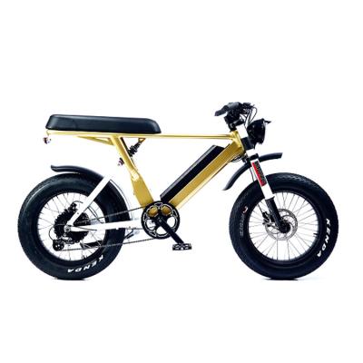 China Aluminum Alloy Power Fat Full Suspension Fat Tire Dirt 48V 1000W Electric Bicycle Snow Ebike for sale