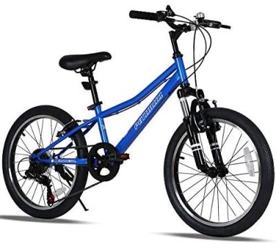 China Fresh Model Petimini High Quality Shimano Model New 6 Speed ​​20inch Kids Bike For Outdoor Sports for sale