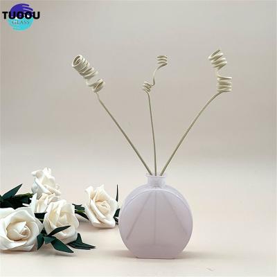 China Personal Care wholesale Aromatherapy glass bottle Aroma Empty Reed Diffuser Glass Bottle en venta