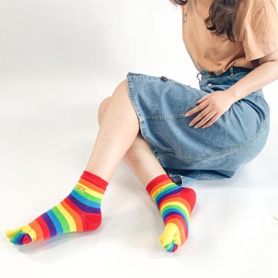 China Antibacterial Funny Combed Cotton Colorful Rainbow Striped Split Toe Five Fingers Socks Women's Toe Socks for sale