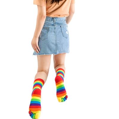 China MIRISI QUICK DRY High Quality Rainbows Five Finger Cotton Crew Socks Unisex Striped Socks for sale