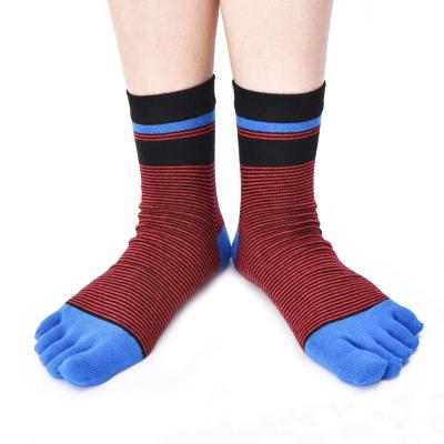 China Fashion Antibacterial Men Socks Cotton Five Fingers Socks Five Toe Socks for sale