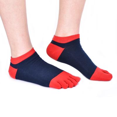 China New Design QUICK DRY Fancy Striped Socks Five Finger Mens Cotton for sale