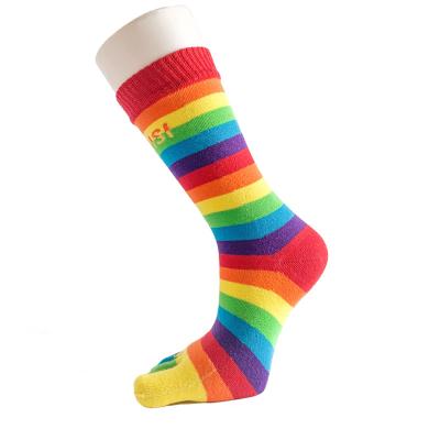 China Amazon QUICK DRY Warm Custom Rainbow Long Bangs 100% Cotton Toe Socks for sale