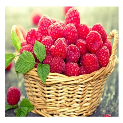 China Plastic Resin Drill Fruit Diy Diamond Painting Strawberries Cross Stitch Canvas Kits Diamond Paintings for sale