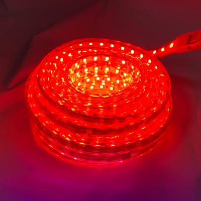 China LANDSCAPE High Quality Smd 5050 Multicolor Waterproof Led Strip Lights With Remote Controller for sale