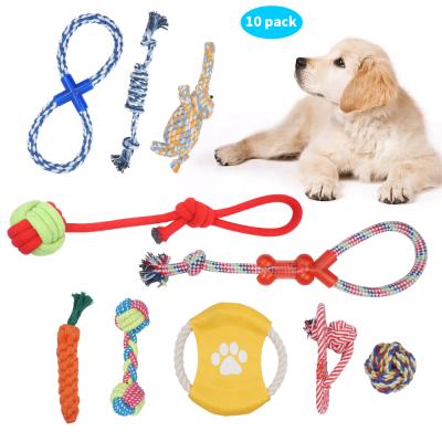 China Cat Pet Supplies Best Sellers 10 Pack Set Rubber Ball Stocked Dog Toothbrush Pet Chew Rope Game Toys Bitedog Bone Toy For Dogs for sale