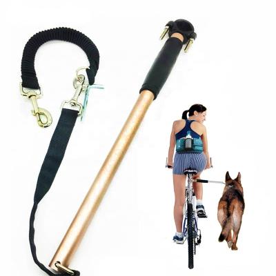 China New Durable Various Features Hands Free Retractable Bicycle Bike Set Elastic Nylon Dog Leash For Running And Adjustable Collar for sale