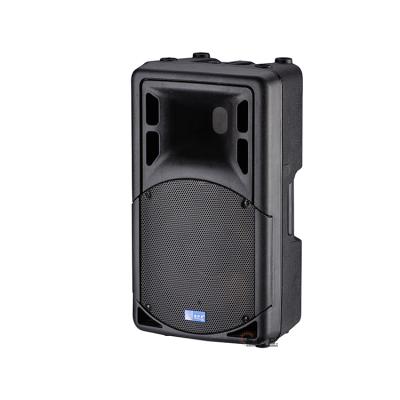 China Clubs SPE Hot Selling Product Easy Installation 500W 15 Inch Woofer Speaker Full Range Plastic Passive Speaker Good For Clubs for sale