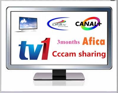 China Dvb s2 Satellite Receiver TV1 Server CCCAM Account 3 Month Steady for sale