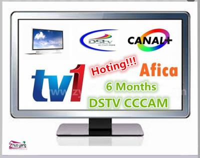 China High Definition DVB-S Satellite Receiver TV1 Server CCCAM Newcam Account for Africa DSTV 36E for sale