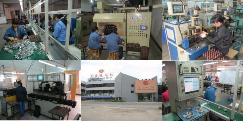 Verified China supplier - Foshan City Shunde Lungkai Micro-Motor Ind. Ltd.