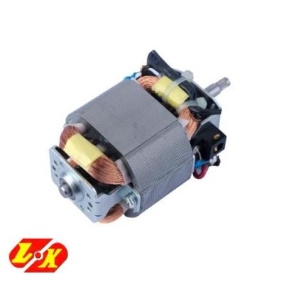 China 220v 110v 240v Turkey Hot Sale HC5430 Blender Motor Hair Dryer Motor Mixer Totally Enclosed Motor for sale