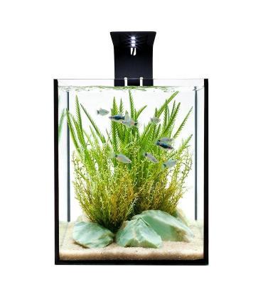 China Modern Clear Jinghu 8mm Tempered Glass Aquarium Glass for sale