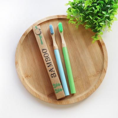 China BT-CO-S-01 replaceable eco-friendly bamboo toothbrush with replaceable bristles for sale