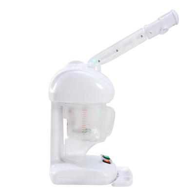 China Mini Salon Equipment Facial Ion Sprayer Home Use Facial Hair Sprayer And Facial Hair Steamer for sale