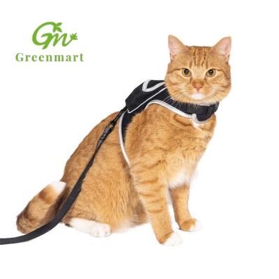 China Safety/2022 High Quality Stray Lead Cat Harness Set OEM ODM Greenmart Company Sewn Stray Harness Jacket for sale