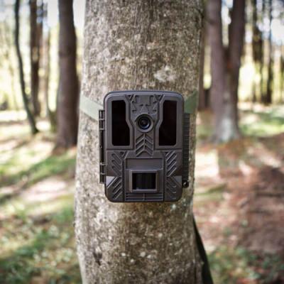 China 2021 New Digital Wireless Outdoor Wildlife 20MP Hunting Trail Camera Night Vision Non Glow Waterproof Trail Camera BST880 for sale