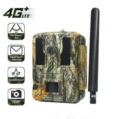 China Wireless System Factory Wholesale 40MP FHD MMS SMS High Quality Easy Installed 4G FTP Wildlife Camera for sale