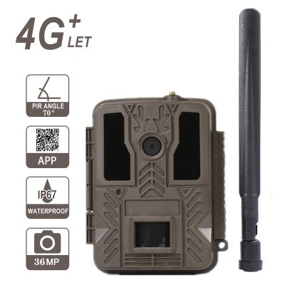 China Weather-resistant 2.4 Inch LCD Screen Wildkamera Trail 4g lte Hunting Camera for sale