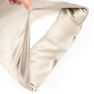 China Envelope style 100% silk non-toxic pillowcase 22mm luxury soft silk pillowcase for sale