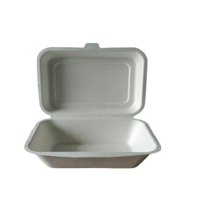 China Disposable Compostable Food Sugarcane Bagasse Food Container for sale