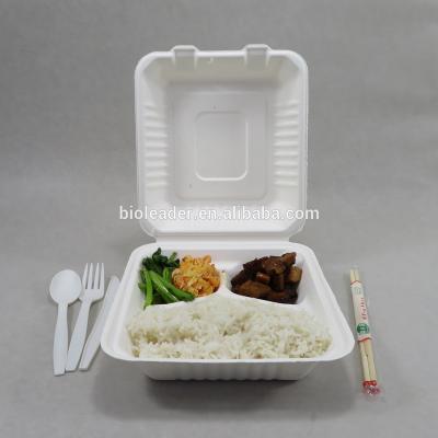 China Disposable Biodegradable Sugarcane Bagasse 3-C Container Disposable Box for sale