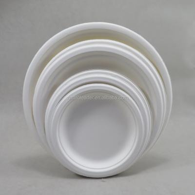 China Disposable Wholesale Biodegradable Sugar Cane Bagasse Paper Party Dishes for sale