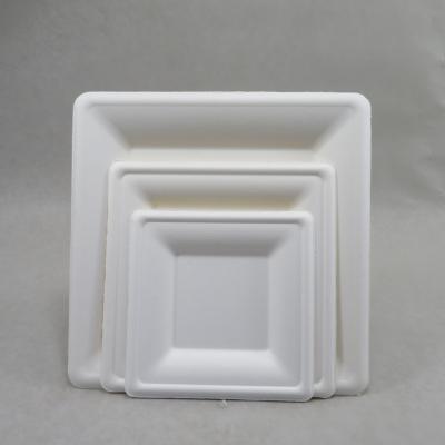 China Disposable Biodegradable Sugar Cane Restaurant Square Dish for sale