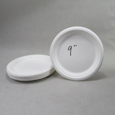 China Green Party Factory Disposable Biodegradable Dishes for sale