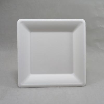 China Disposable Dish And Square Dinner Dish Wheat Straw Bagasse for sale