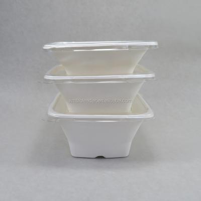 China Biodegradable Bowl Disposable Square Sugar Cane Bagasse Microwavable Bowl for sale