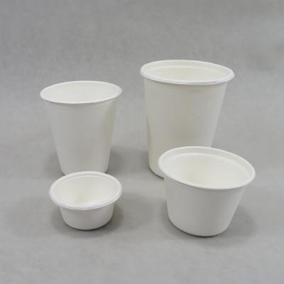 China Viable White Compostable Disposable Cup - 100% Biodegradable Sugarcane Bagasse Paper & Plastic Alternative 5oz (140ml) for sale