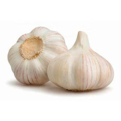 China China Garlic White Garlic Fresh High Quality Low Price Garlic for sale