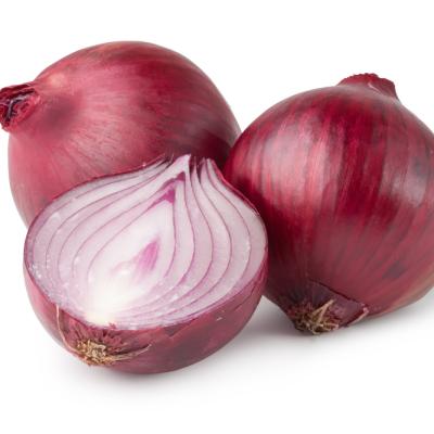 China 2020 Bulk Fresh Onion Fresh Cultivation Cheap Red Onion Big Good Onions for sale