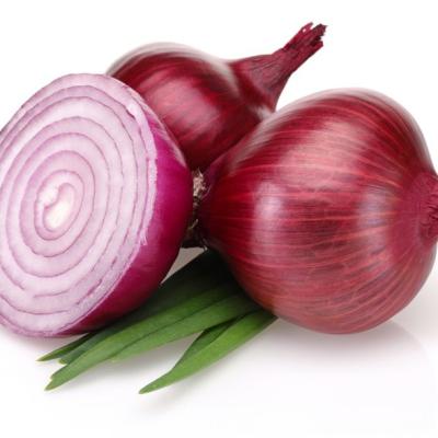 China 2020 big fresh red onion cultivation cheap onion market price of red onion export for sale