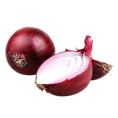 China China Fresh Farm Planting Onion Sale Fresh Onions Delicious Onions for sale