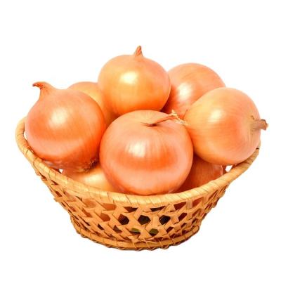 China Fresh Onion Price Ton Fresh Yellow Onion Non White Onions for sale