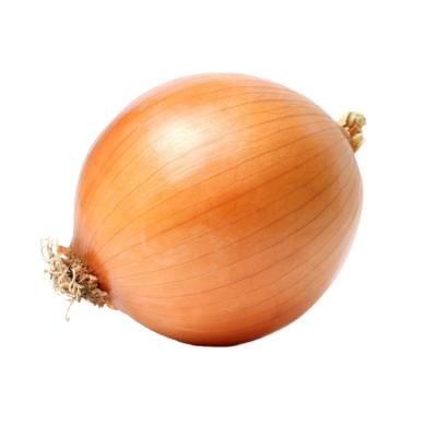 China Fresh in small price yellow onions large wholesale and red onions around onions for sale