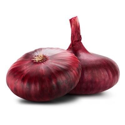 China bulk fresh fresh red onion with best price for sale