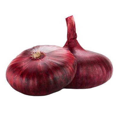 China China market price fresh 55mm size red onions yellow onions delicious onions for sale