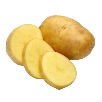 China China Fresh Potatoes Suppliers Supply Dehydrated Potato Chips Round Potatoes for sale