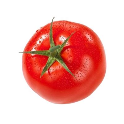 China China fresh vegetable fresh red tomatoes with good prices fresh tomatoes for sale