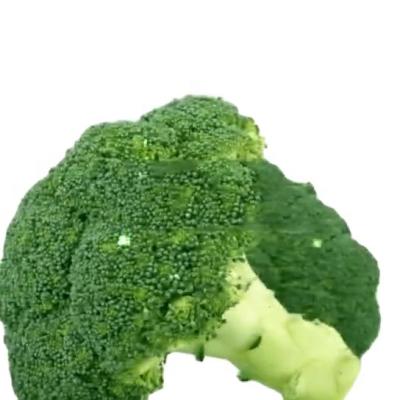 China Fresh hot sale fresh vegetable broccoli with lower price big sale delicious broccoli for sale