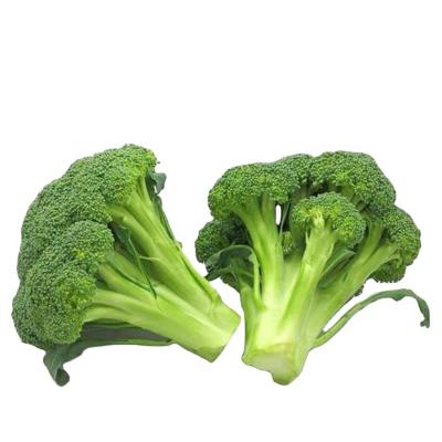 China China High Quality Fresh Broccoli Hot Sale Green Broccoli for sale