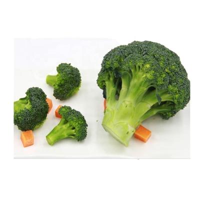 China Fresh Chinese brands frozen broccoli with wholesale price 100% natural broccoli for sale