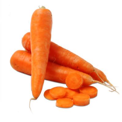 China New Culture Carrot FROZEN Red Carrot Seeds Natural Fresh Carrot for sale