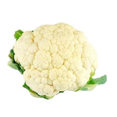 China 2020 Vegetatables Healty Fresh Leaf Cauliflower Chips Fresh Green Cauliflower for sale