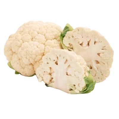 China Cauliflower Fresh Vegetables Wholesale Cauliflower Delicious Cauliflower for sale